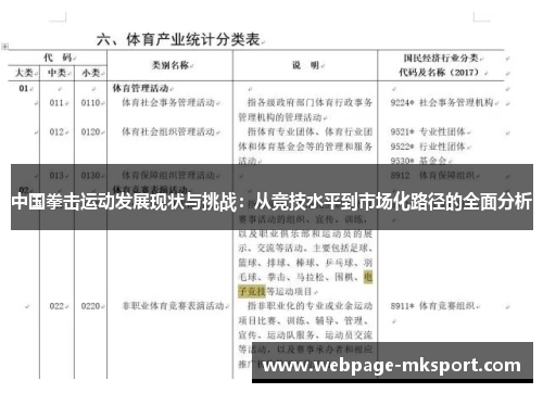 中国拳击运动发展现状与挑战：从竞技水平到市场化路径的全面分析