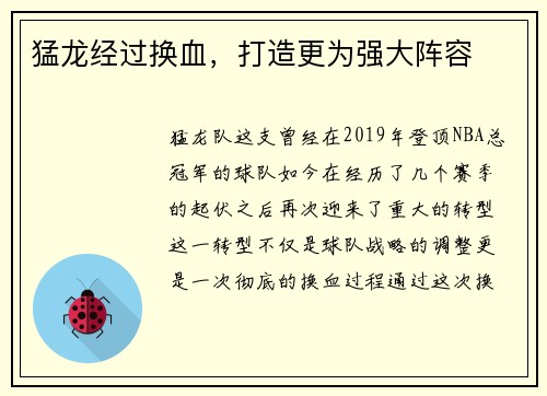 猛龙经过换血,打造更为强大阵容
